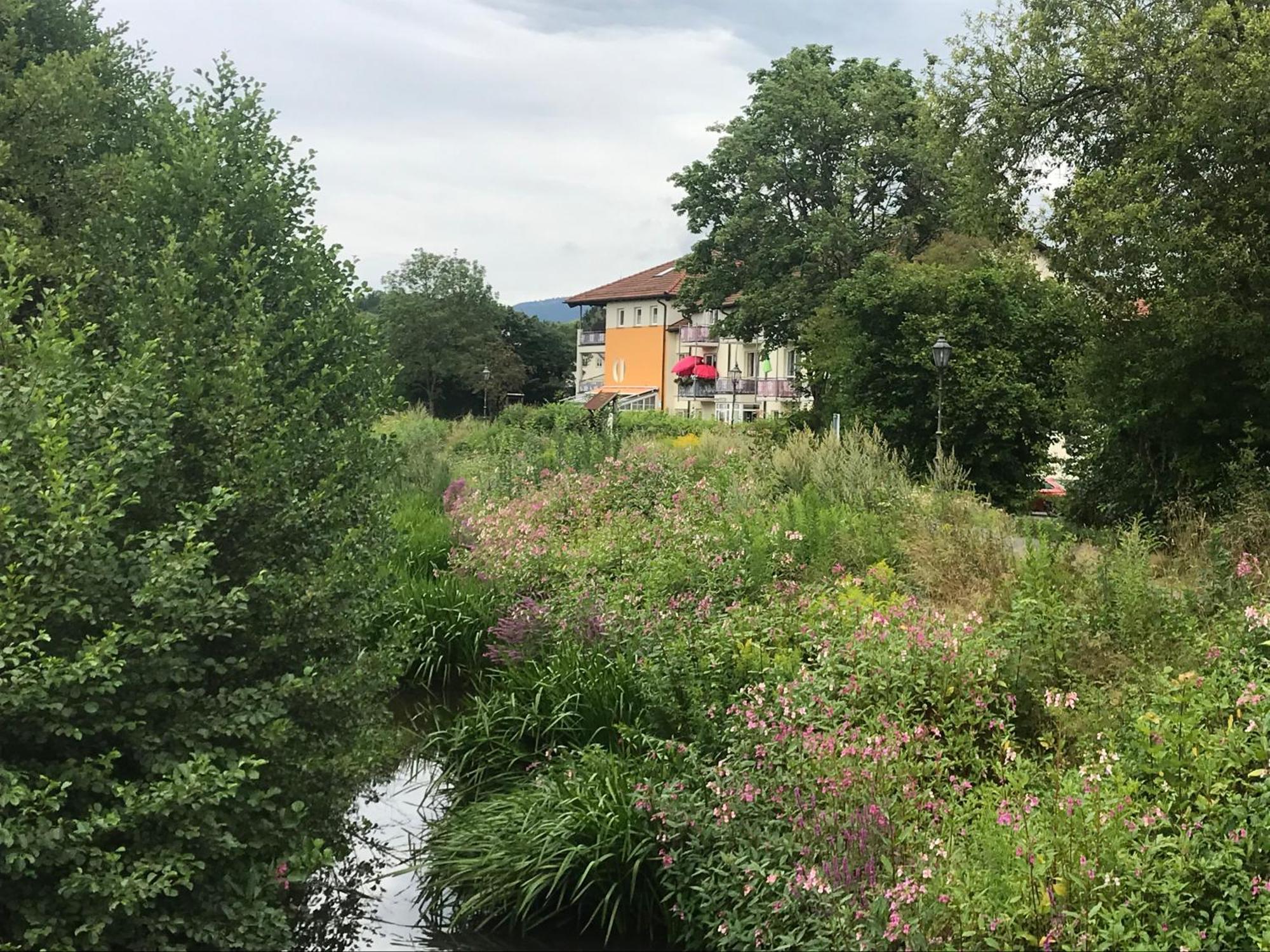 Ferienresidenz Am Weissen Regen Leilighet Kötzting Eksteriør bilde